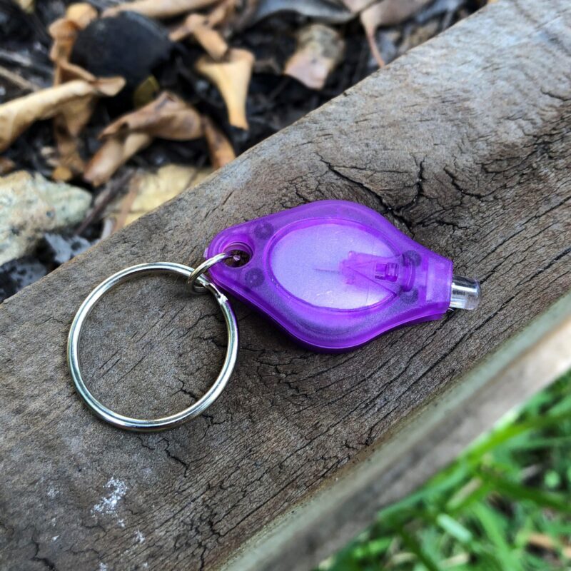 Ultraviolet LED Light