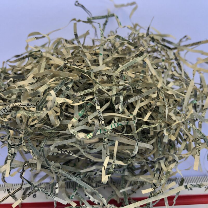 Authentic USA Shredded Currency