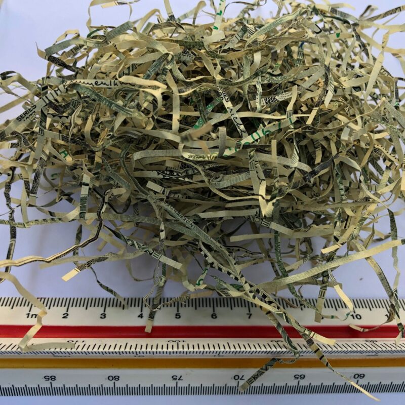 Authentic USA Shredded Currency
