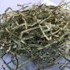 Authentic USA Shredded Currency