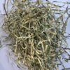 Authentic USA Shredded Currency