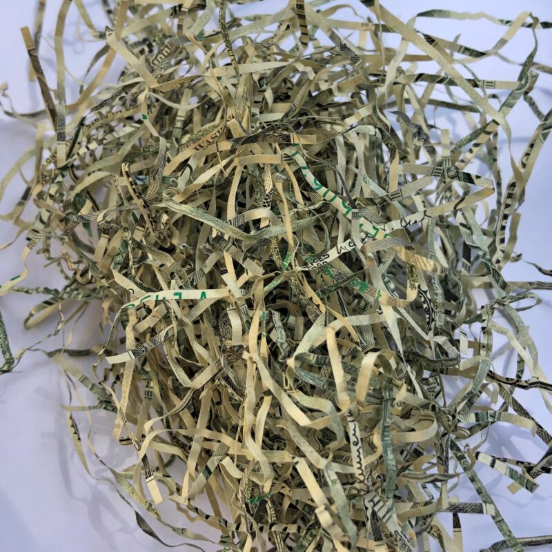 Authentic USA Shredded Currency