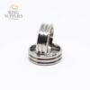 Titanium Double Channel Ring Blank