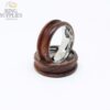 Rosewood ring blank with stainless steel core