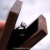Close-up of a ring raised inside a walnut presentation box